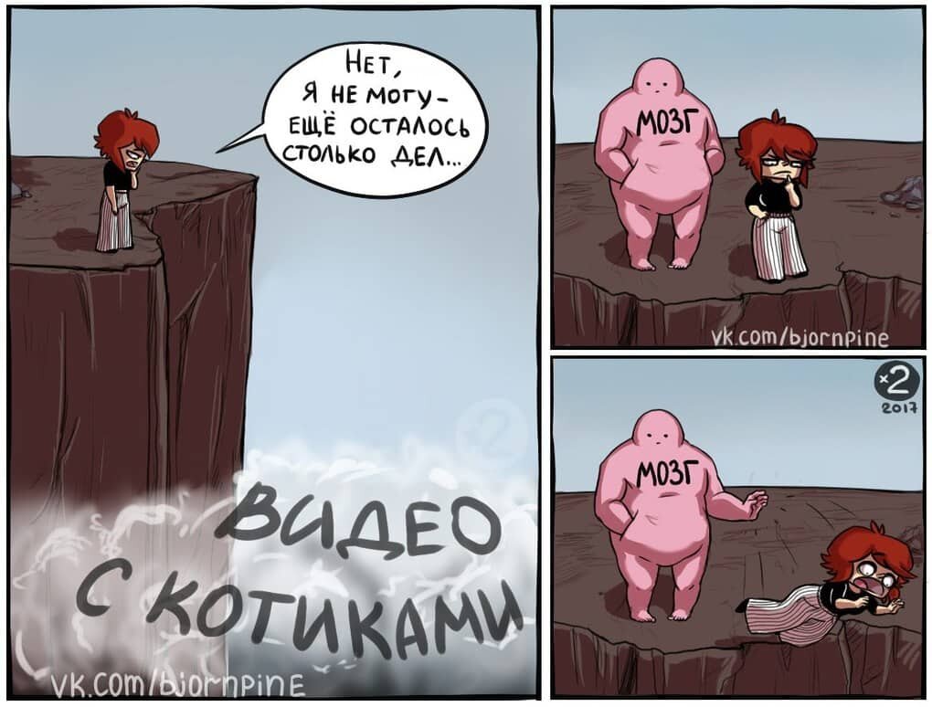 Источник https://vk.com/bjornpine