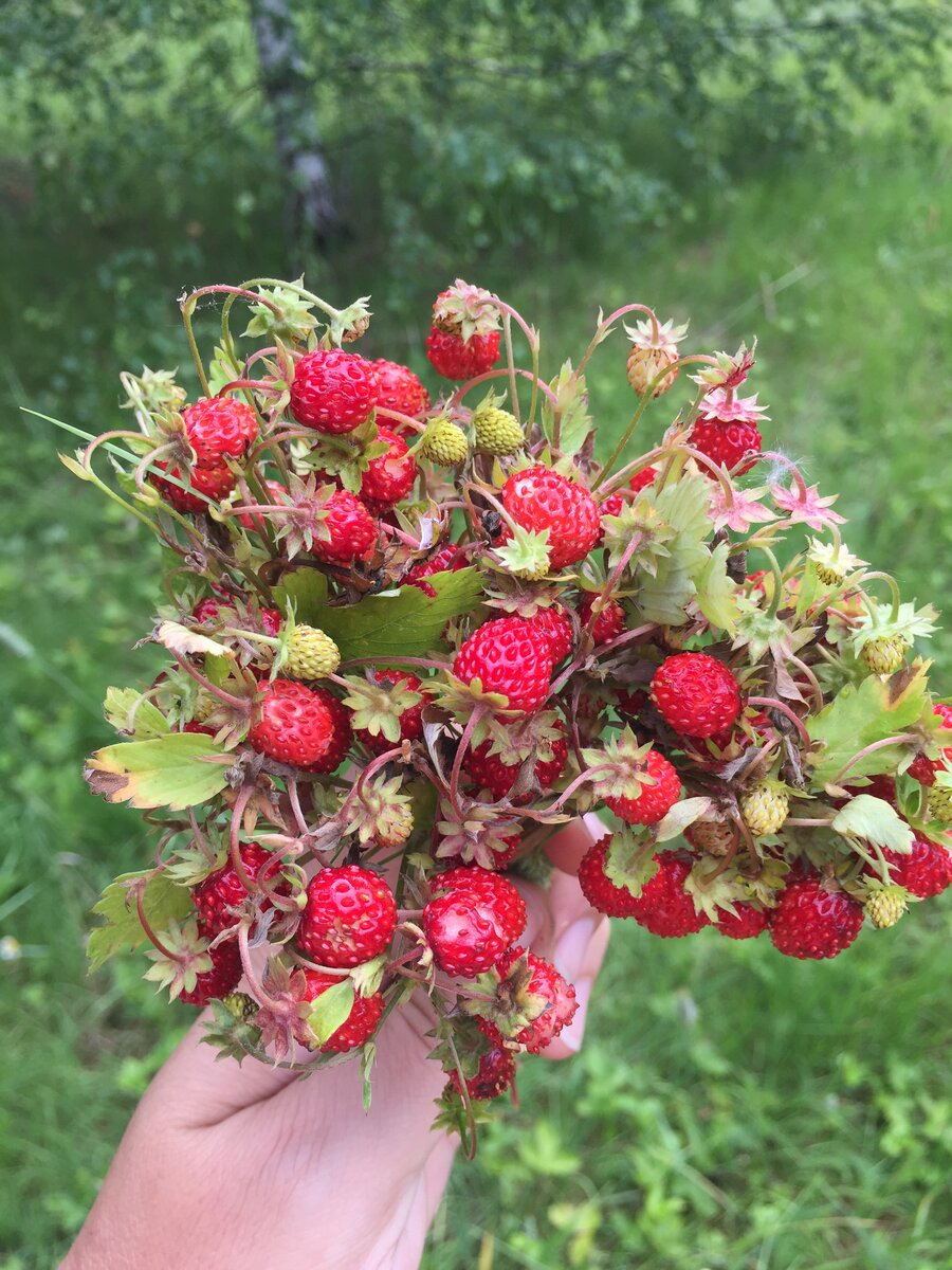 Личное фото