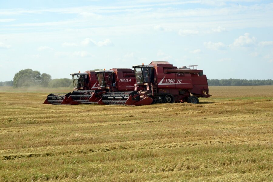Фото: из архива редакции 