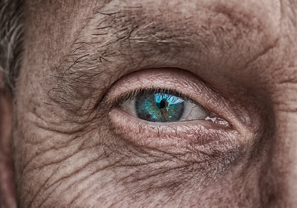 https://pixabay.com/photos/skin-eye-iris-blue-older-fold-3358873/