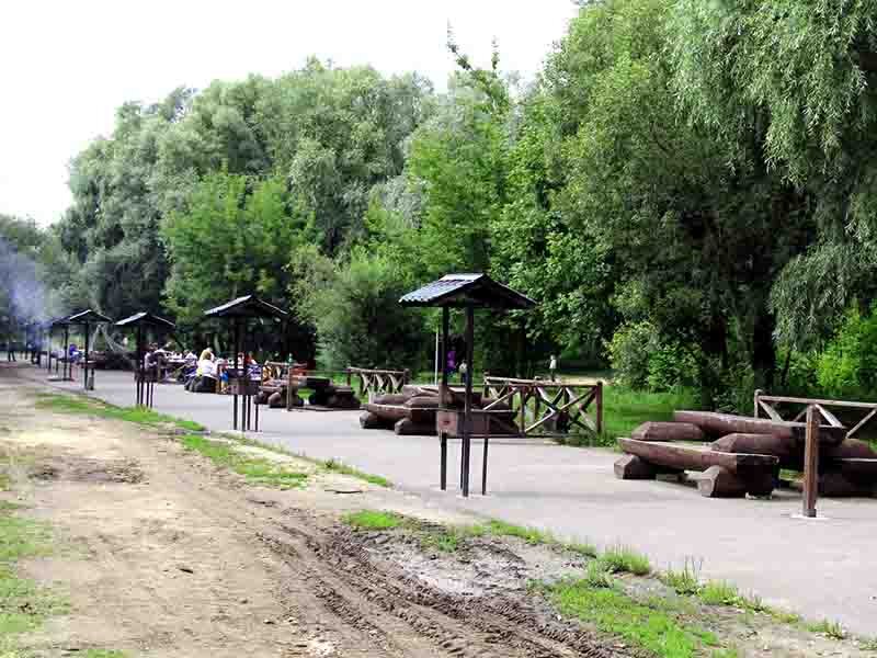 Скамейки для отдыха в лесопарке серебряный бор