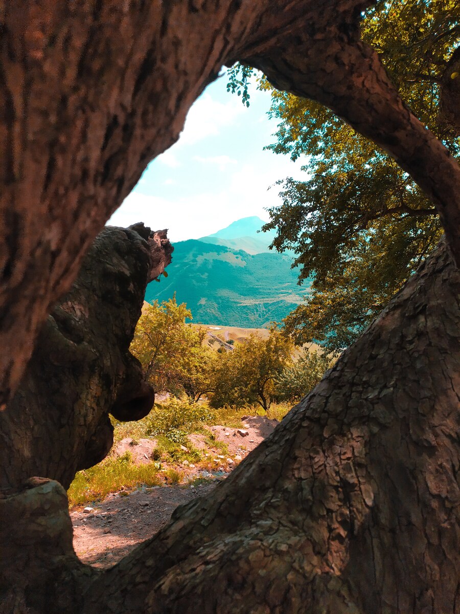 https://unsplash.com/photos/cwLCDfzk9mw
