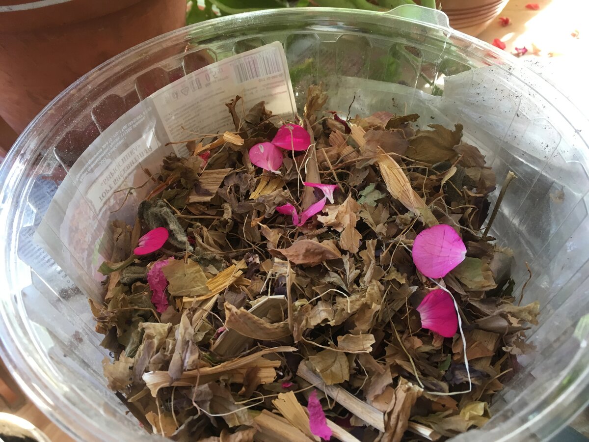 Я использую простую коробку из-под торта