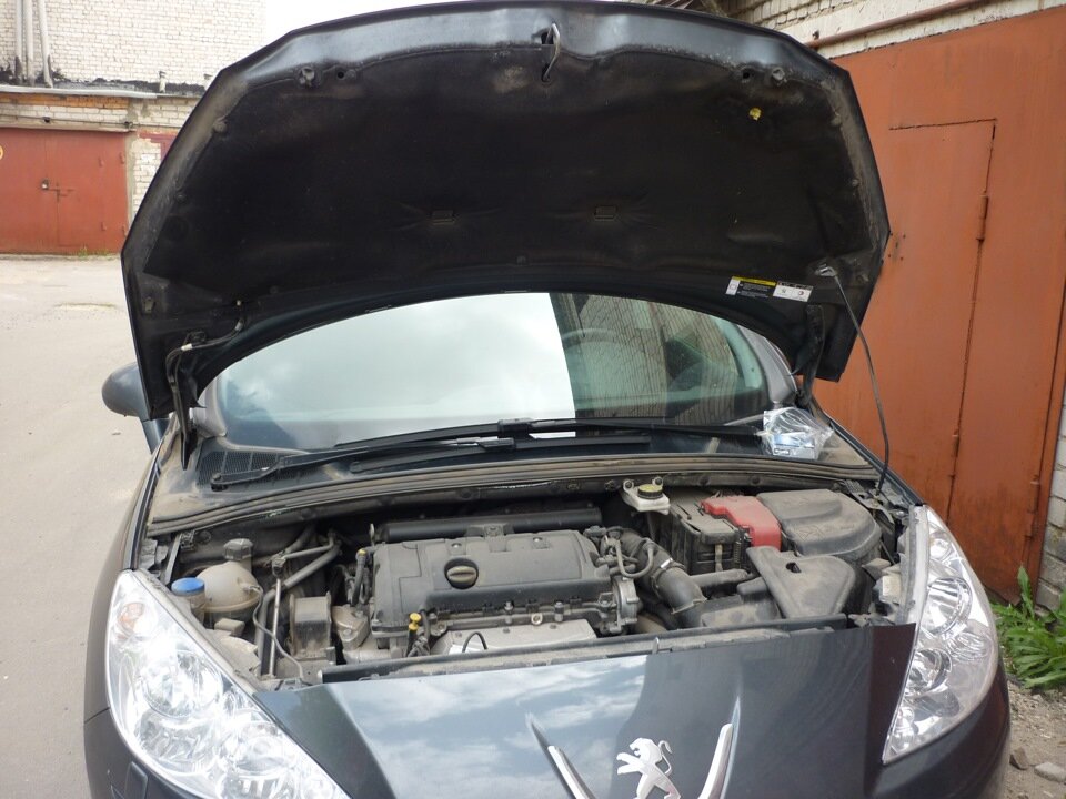 взято из открытого поиска яндекс картинки