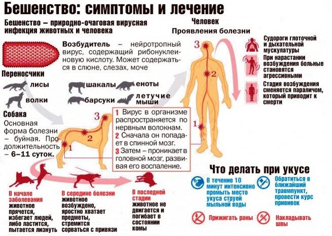 Секс во время прививки — 1 ответ инфекциониста на вопрос № | СпросиВрача