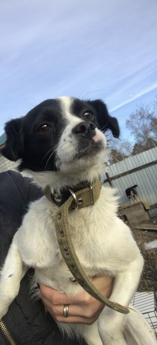 Розка на ручках замирает и боится пошевелиться от счастья!