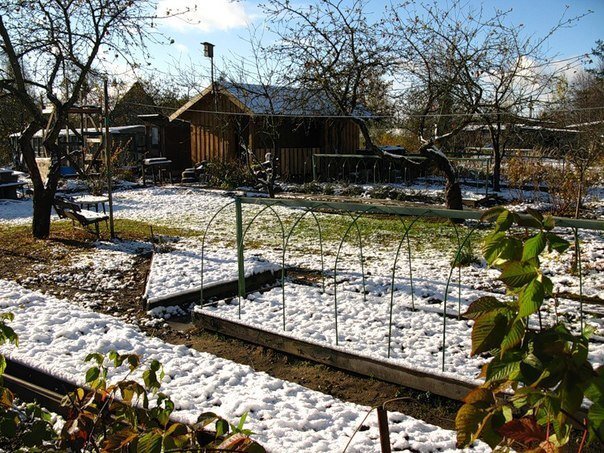 Огород поздней осенью