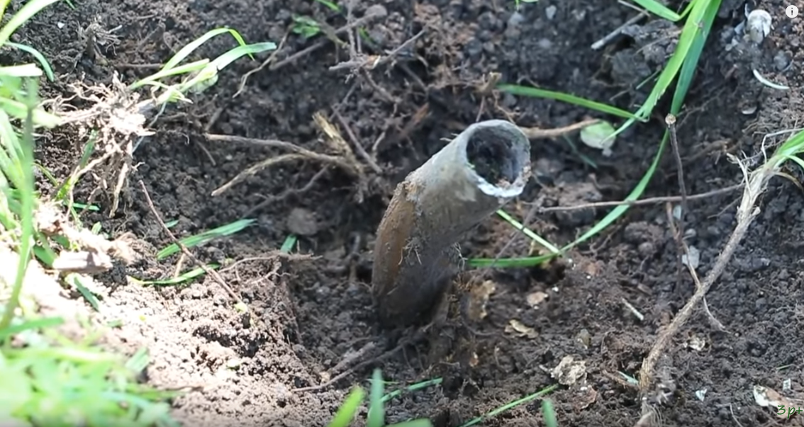 Фото: youtu.be/FWC1rAHYKRQ