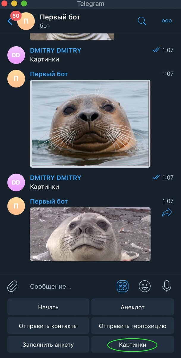 Telegram bot отправить картинку