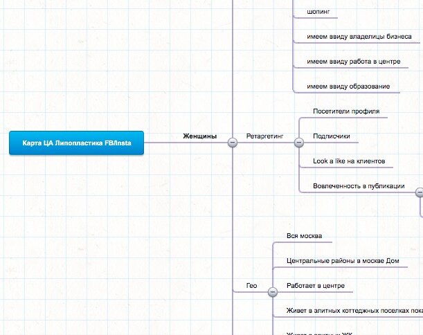 Ментальная карта целевой аудитории пример