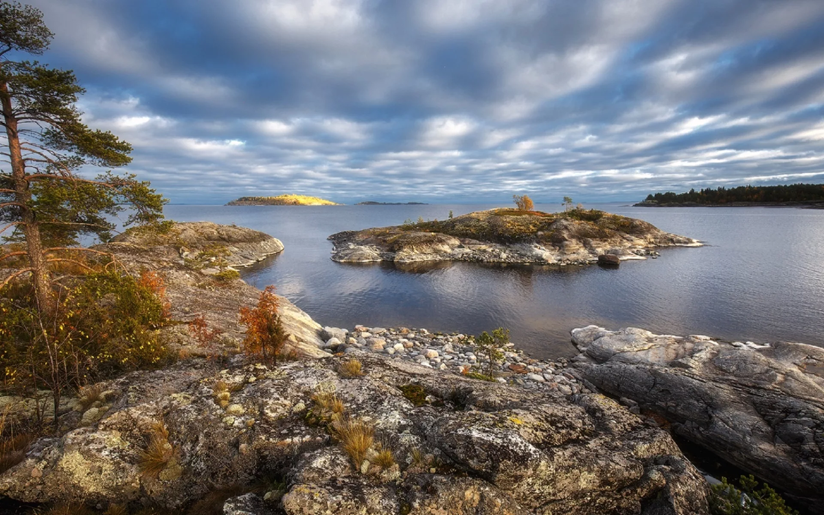 Фотография взята из открытых источников