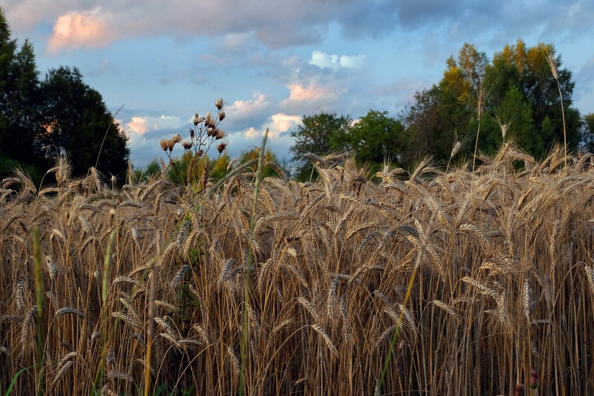 фото Ю. Малыхина