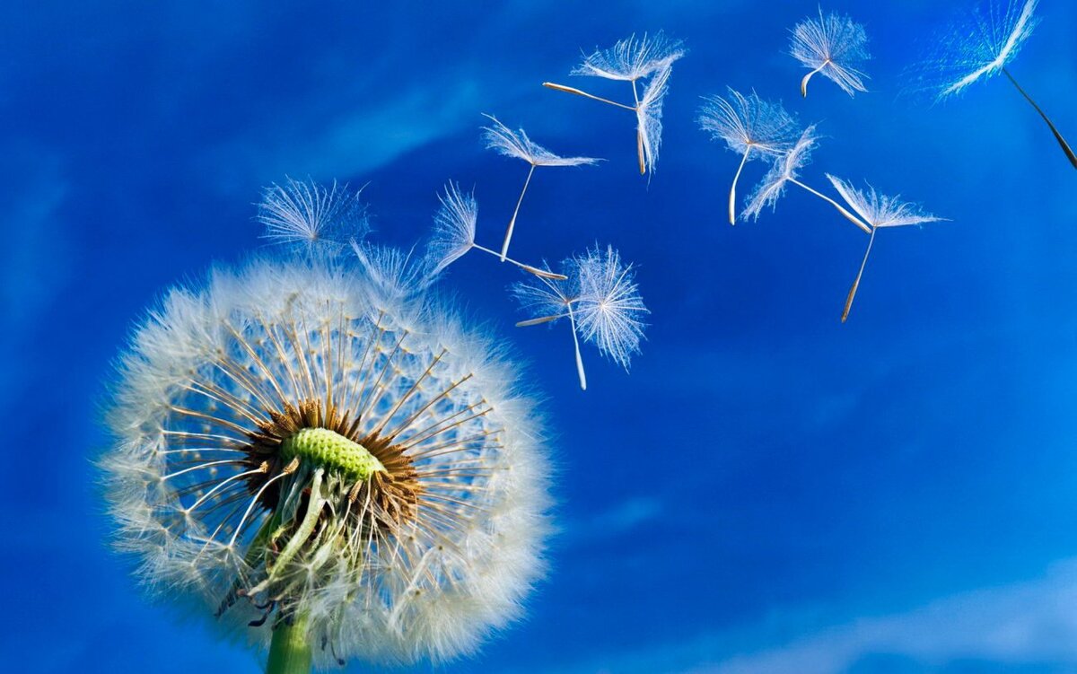 ТРИЗ - это просто?