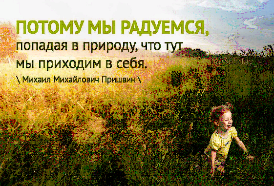 Иллюстрация из открытого доступа в сети интернет