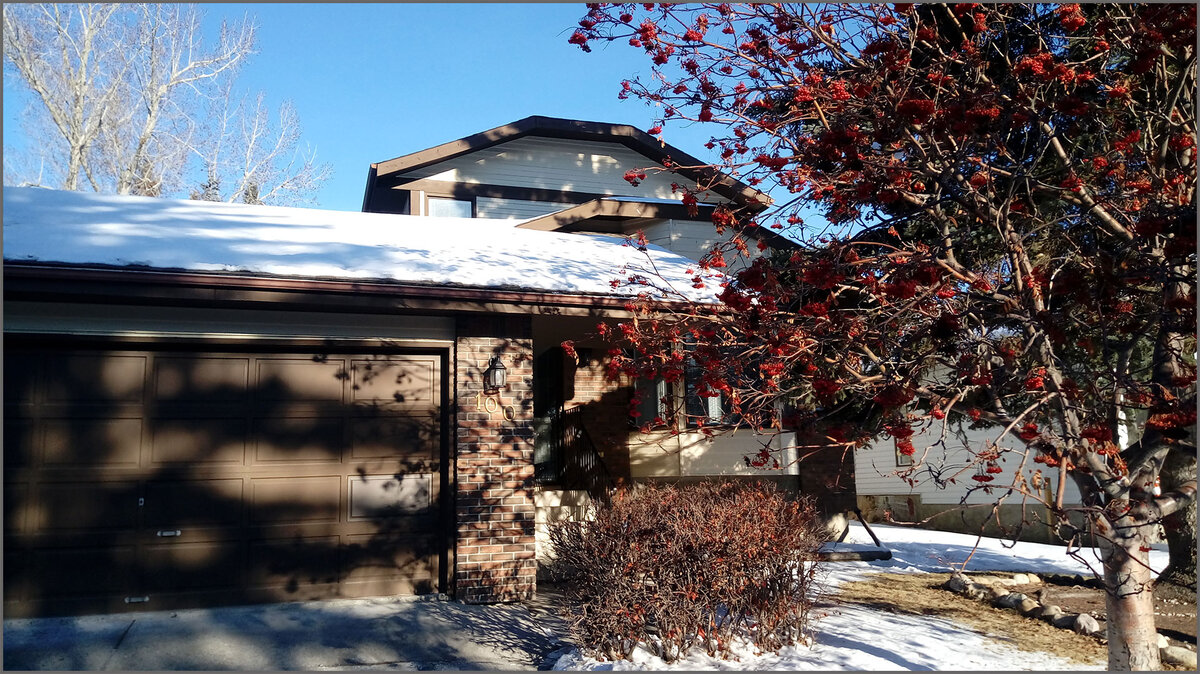 Канада, дом  выставлен на продажу. Двор был открыт ,и мы зашли полюбопытствовать, какого размера сад. Цена 389000 канадских долларов