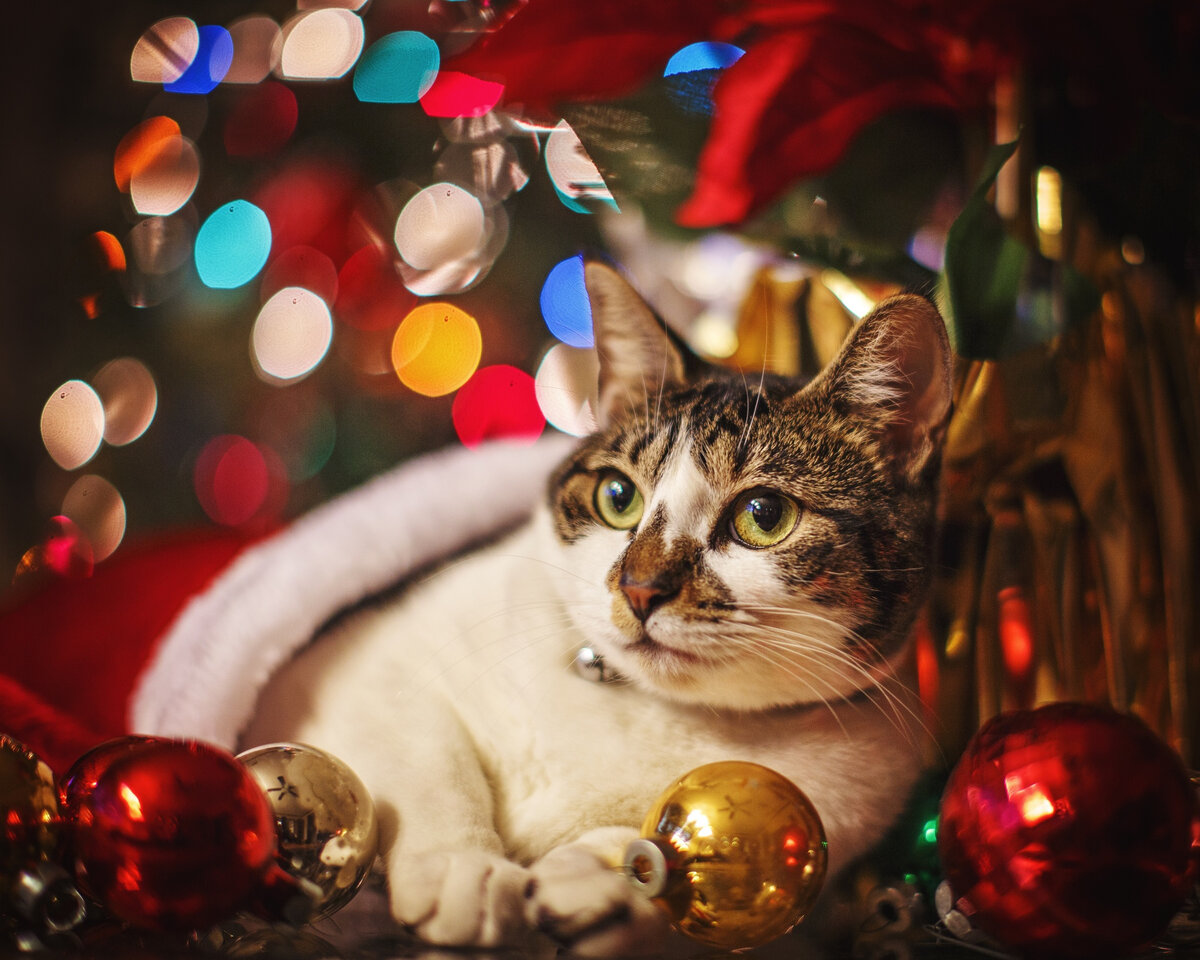 Источник: Яндекс Картинки