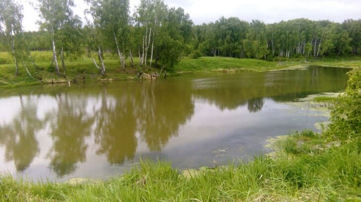 Укрепление берегов прудов (водоёмов)