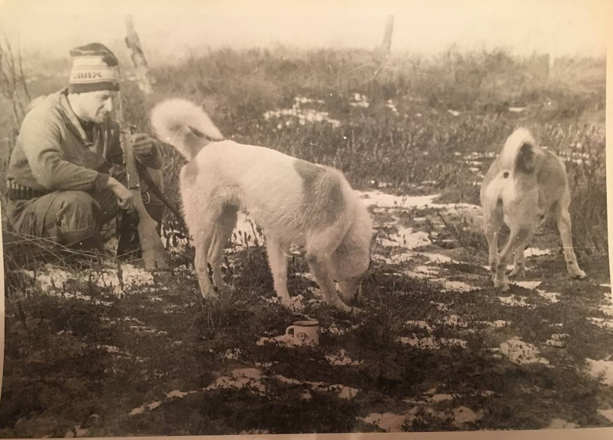 АВТОР СТАТЬИ: ВЯЧЕСЛАВ МАКСИМОВ