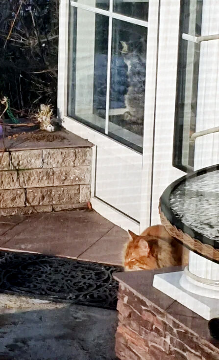 Редактировать галерею
 