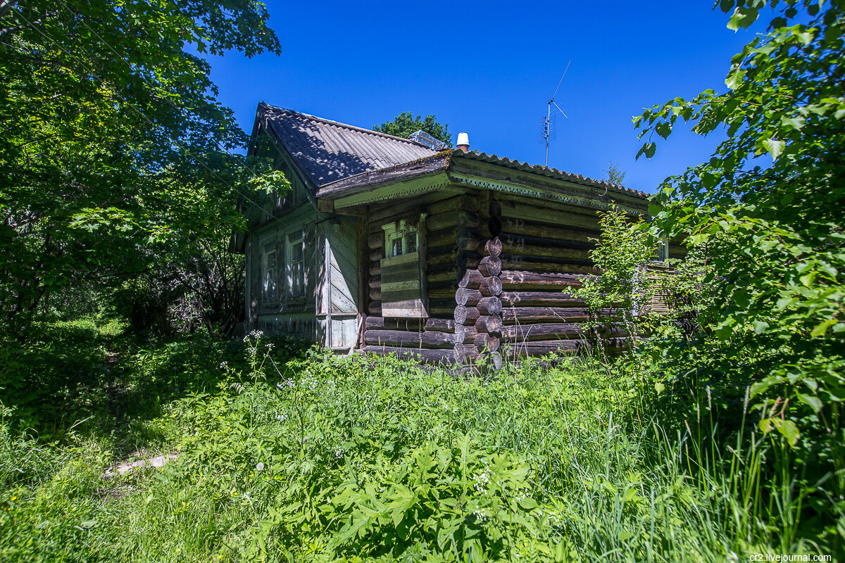 Новгородская область. Заброшенная деревня 