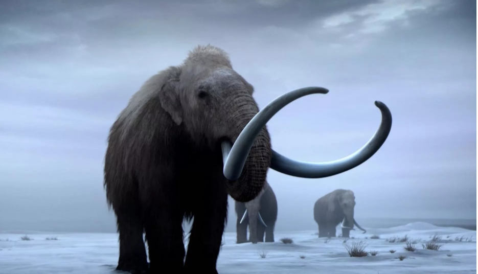 Источник: Популярная наука