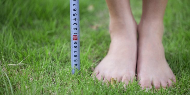  Рост населения сильно варьируется по всему миру - и некоторые страны сильно отстают. Ознакомьтесь с 25-ю странами с самым низкорослым населением. В рейтинге называются отдельные цифры роста мужчин и женщин в каждой стране и средний рост населения.

25-летний Джунри Балауинг из Филиппин был удостоен звания самого маленького живого человека в мире в сентябре 2015 года. Он всего 59,9 см ростом.
