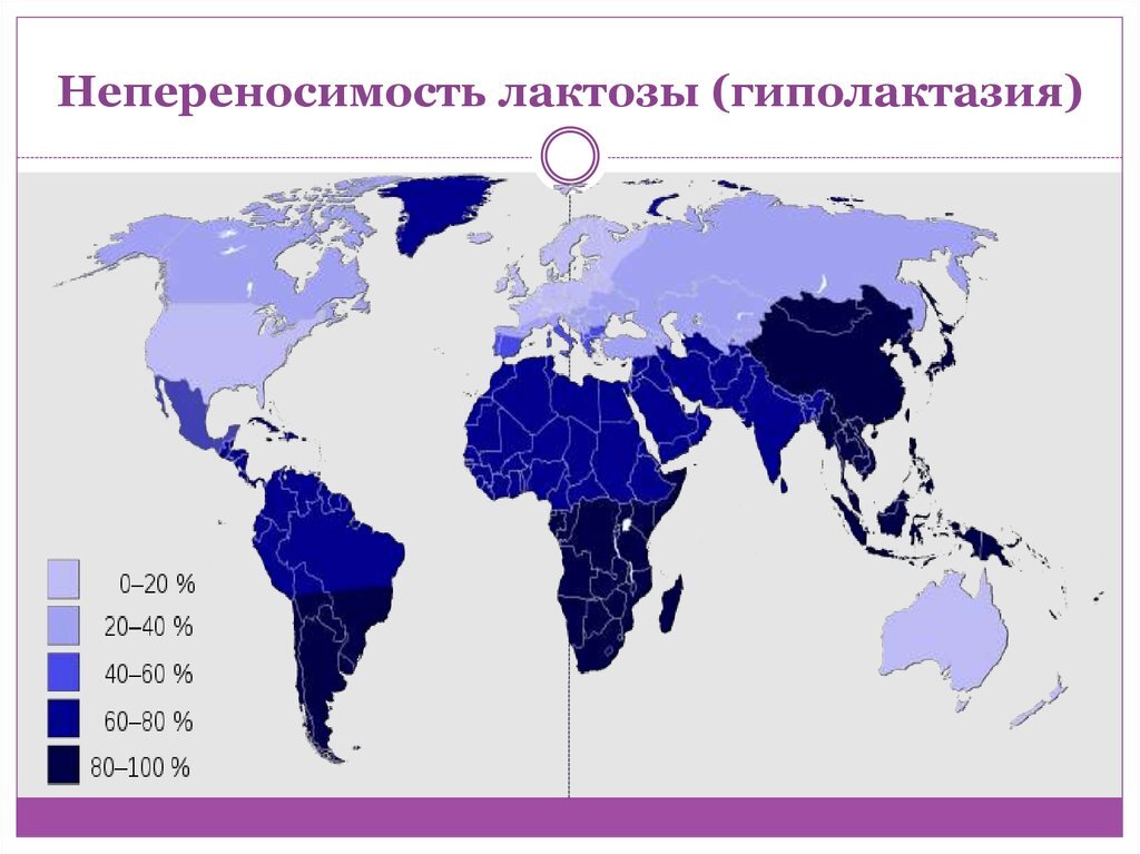 Симптомы непереносимости лактозы. Неперенсоимостьлктозы. Непереносимость лактозы. Лактулоза непереносимость. Переносимость лактозы.