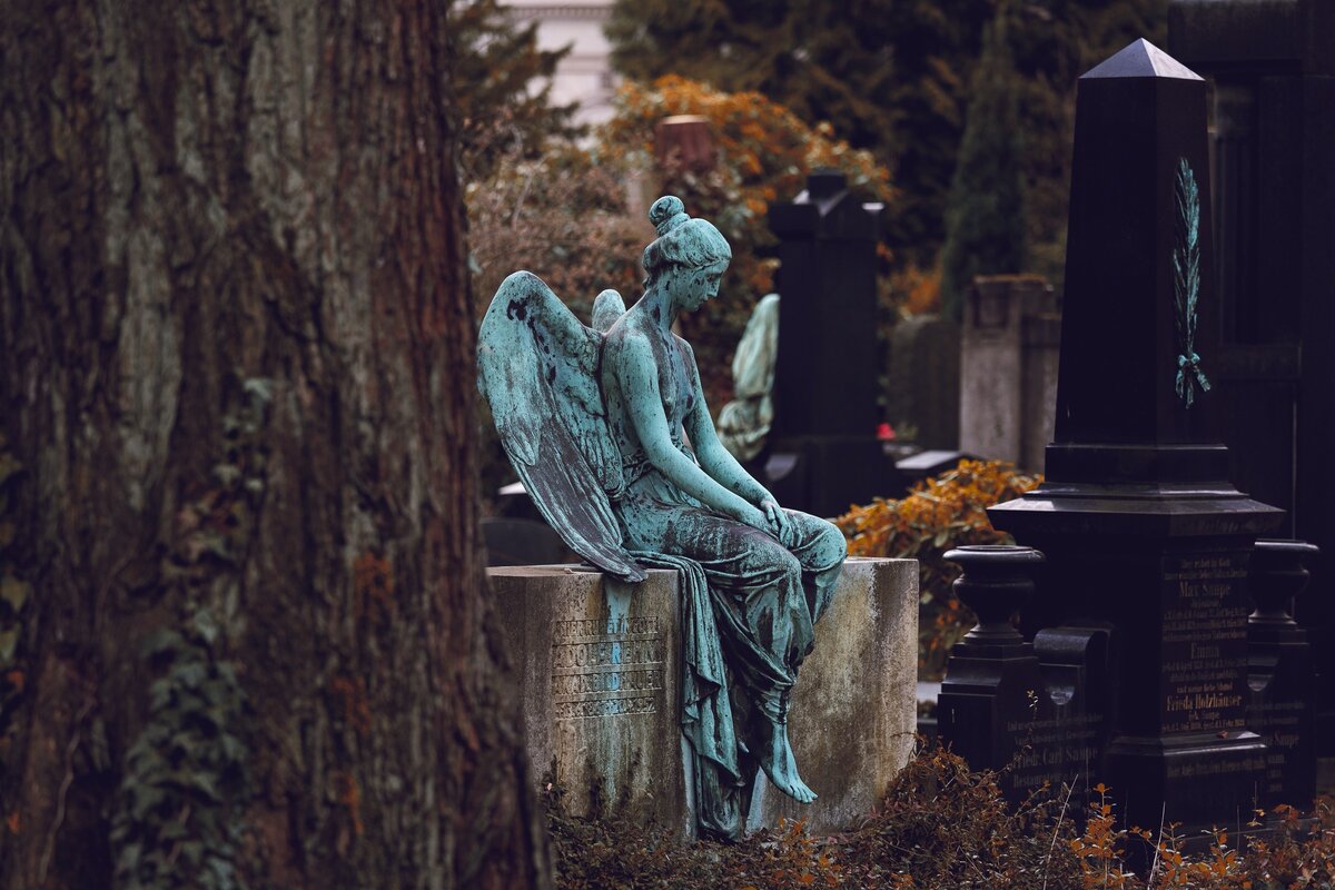 Photo by Veit Hammer on Unsplash
