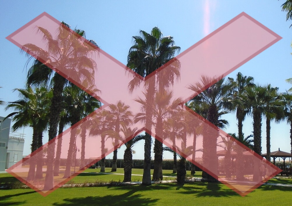 Заграницу теперь даже при большом желании не попасть