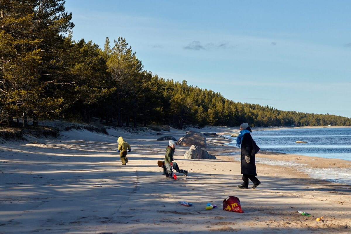 Фото: https://vk.com/ladogahelp