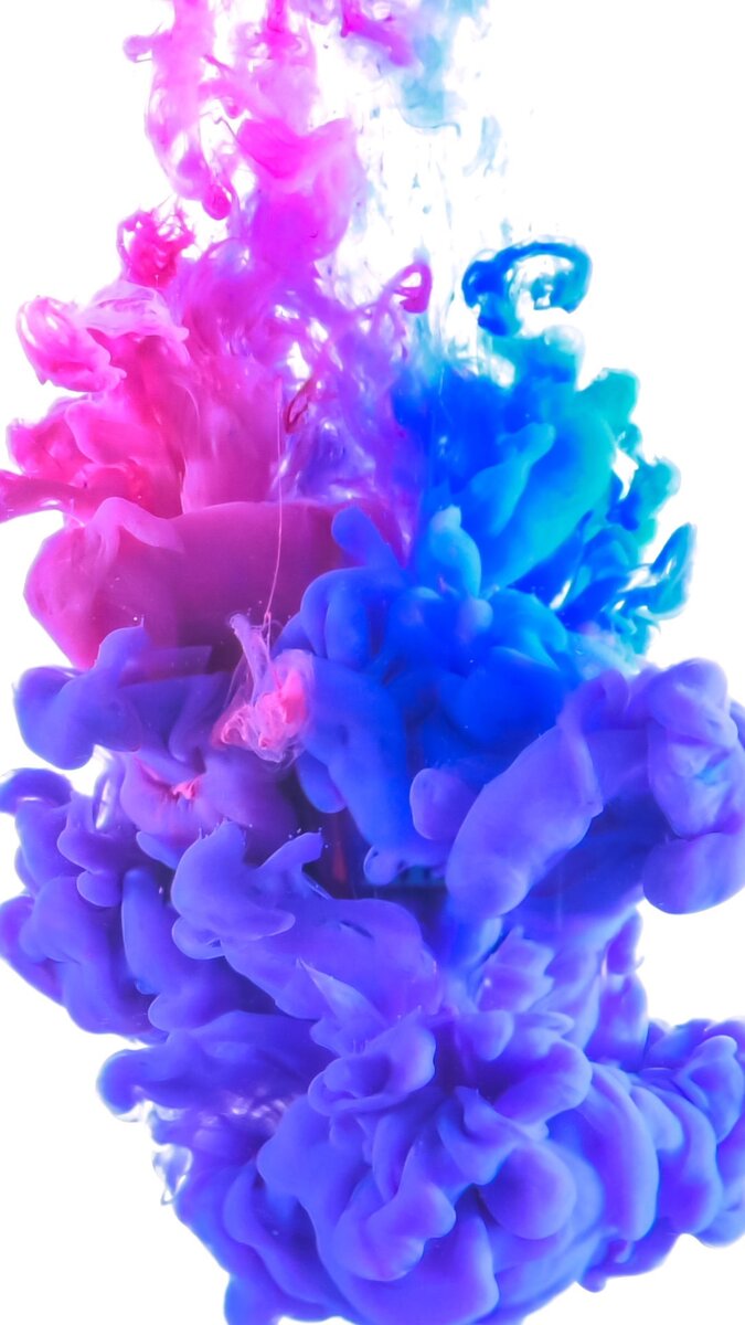 Фото взято из открытых источников