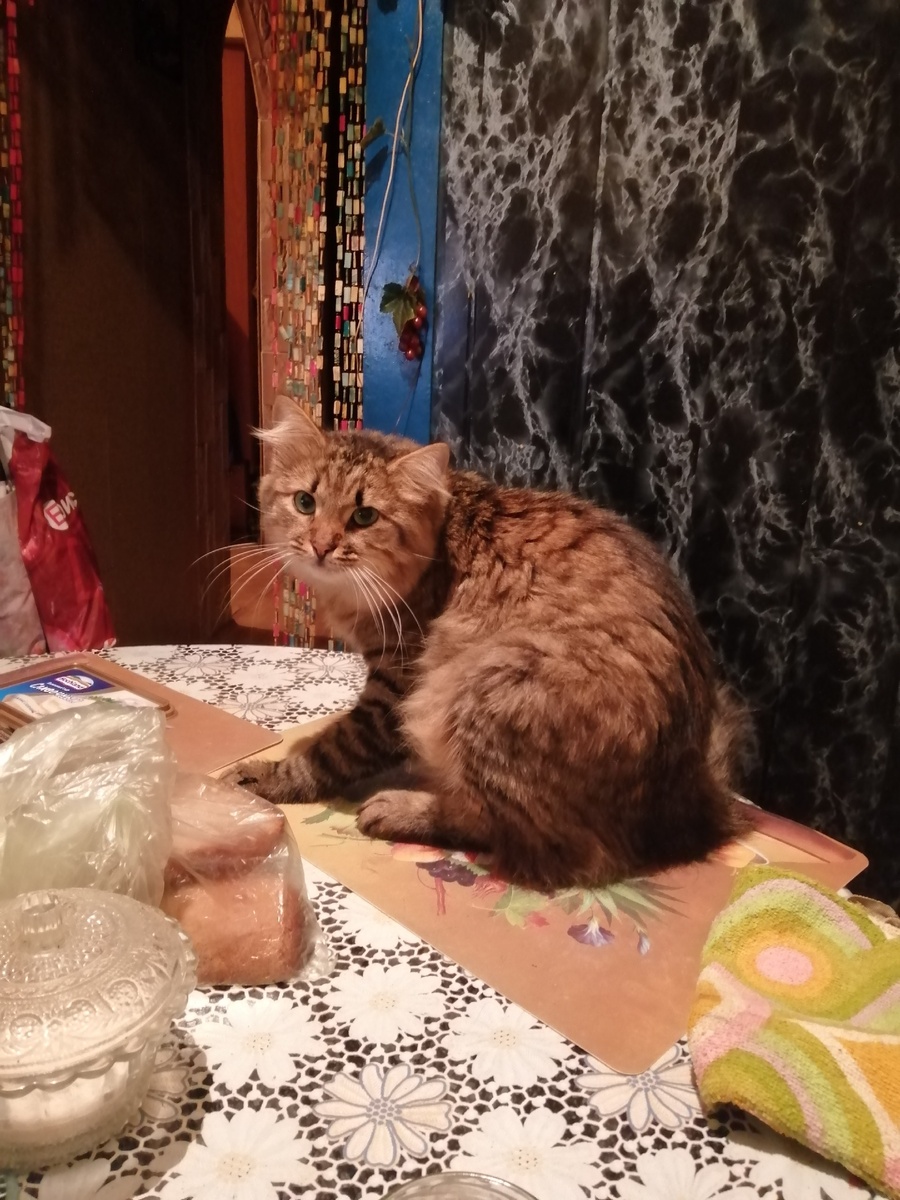 Пойман с поличным