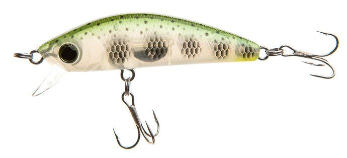 фото из свободного доступа.