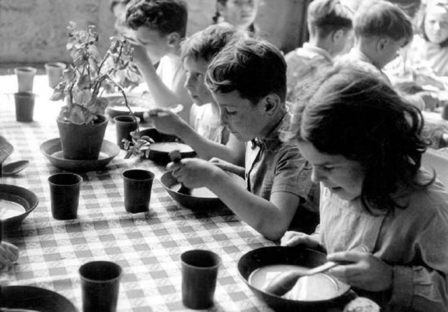 Изображения взято из Google