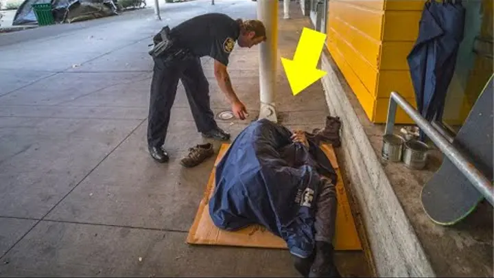 фото взято из google