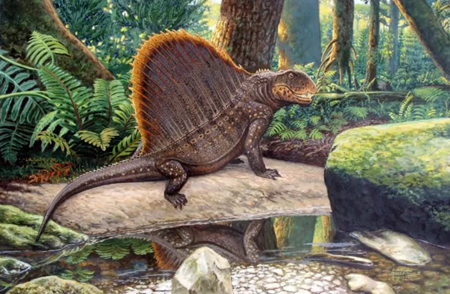 Время ящера. Пермский период Диметродон. Диметродон Юрского периода. Диметродон динозавр. Диметродон это рептилия.