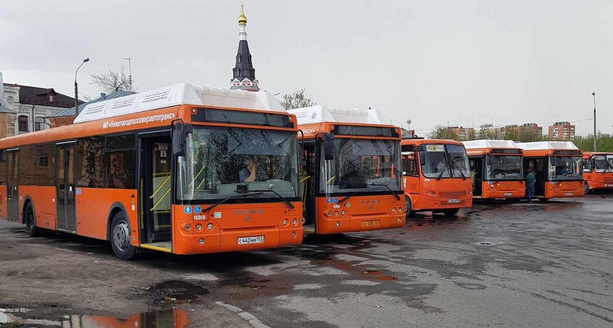 Фото: Александр Альперович