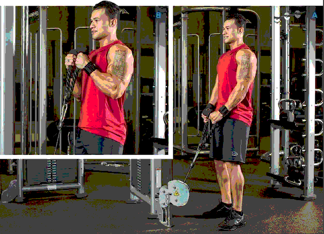 Сгибания рук с веревкой.