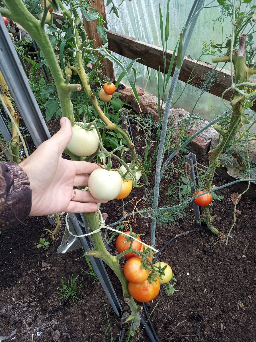 Фото из личного архива.