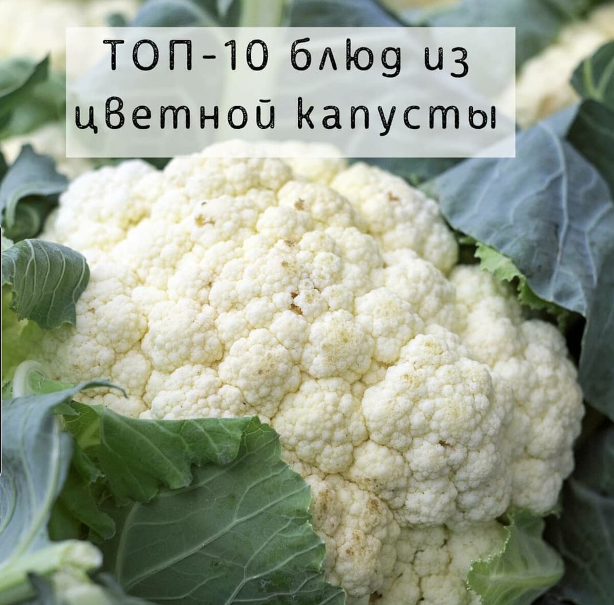 Топ - 10 блюд из цветной капусты | LCHF. SECRET | Дзен