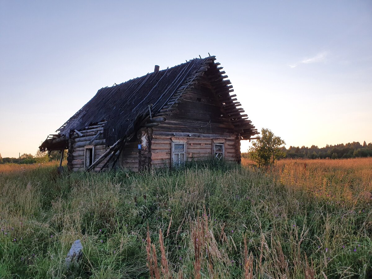 деревня б заборовье новгородская фото