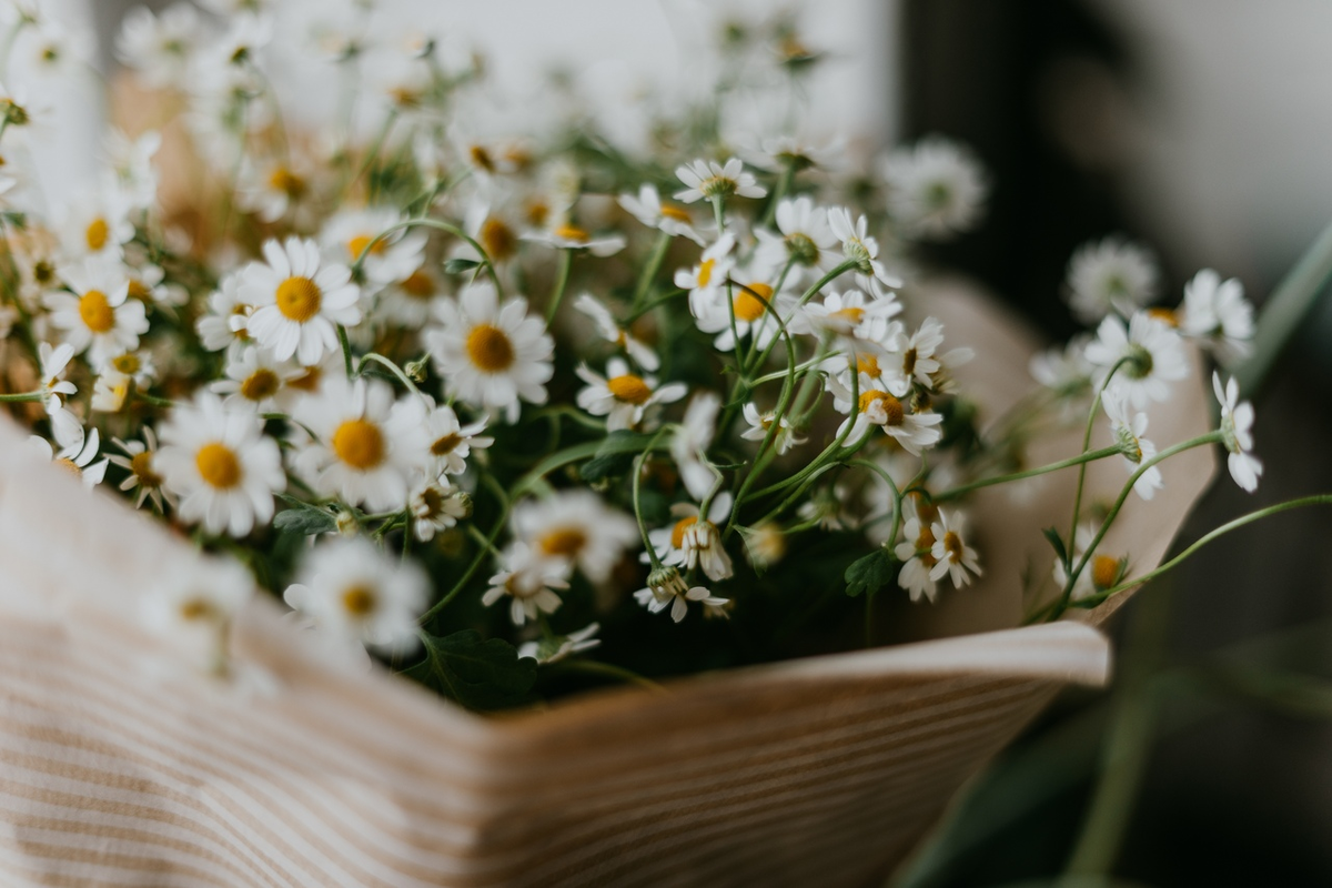 фотограф Аня Лебедева