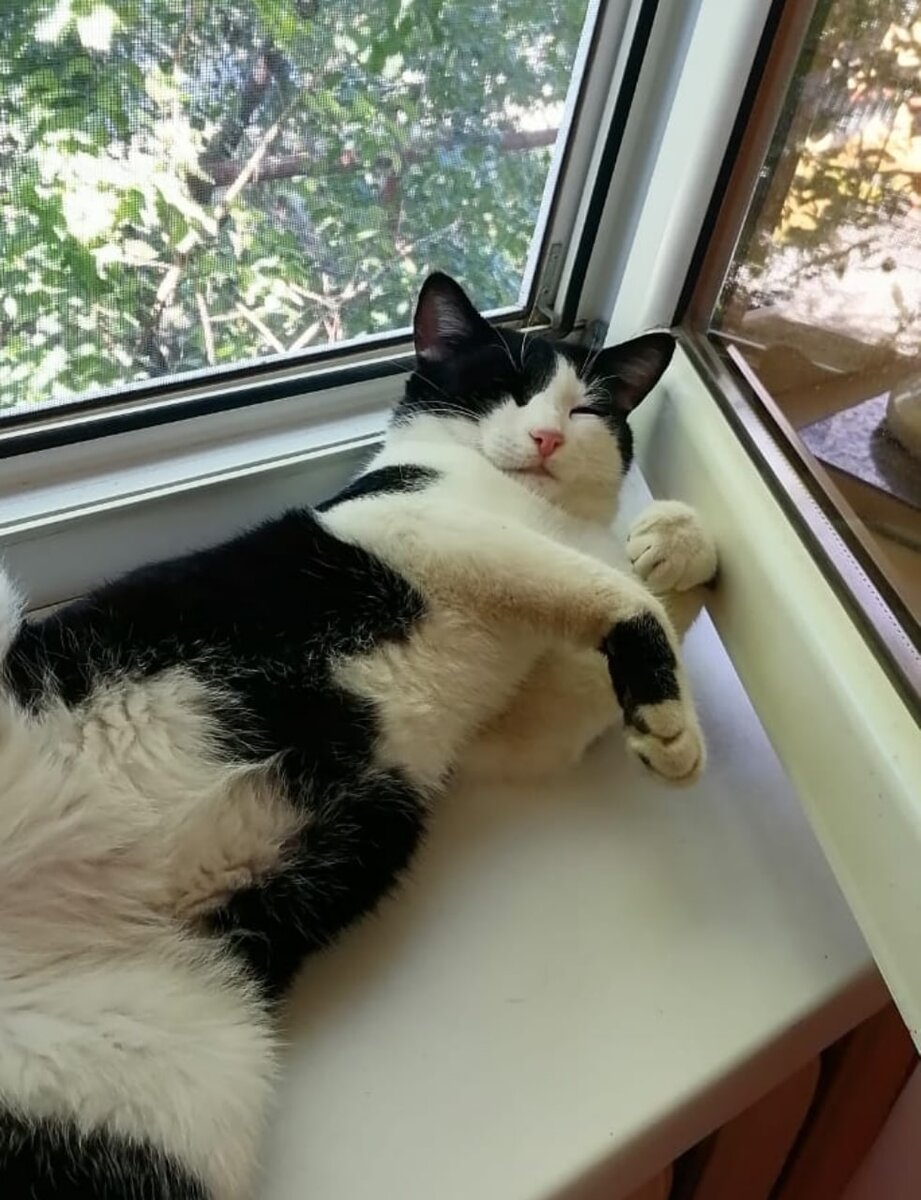 Авторское фото