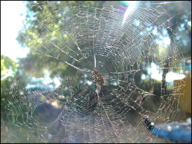 Фото из открытого источника.