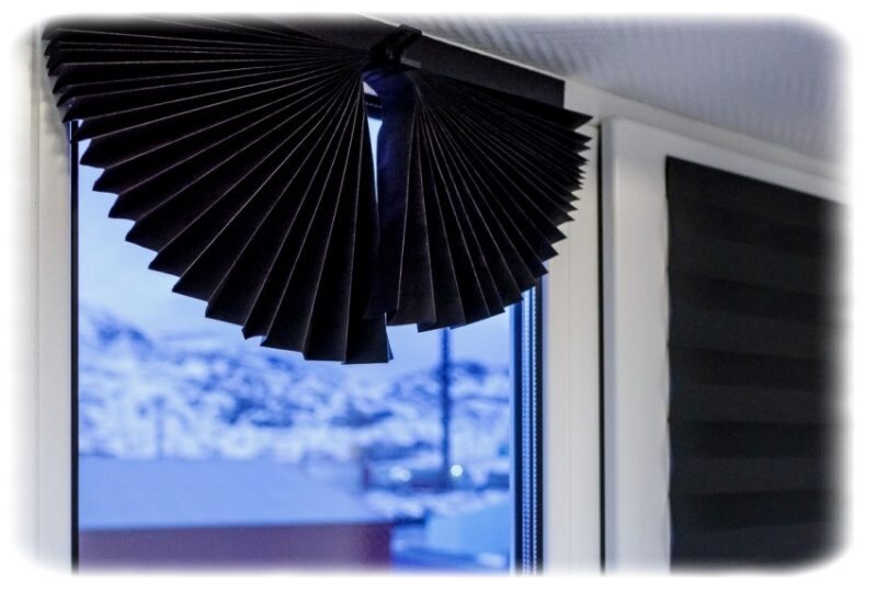 Фото из открытого источника