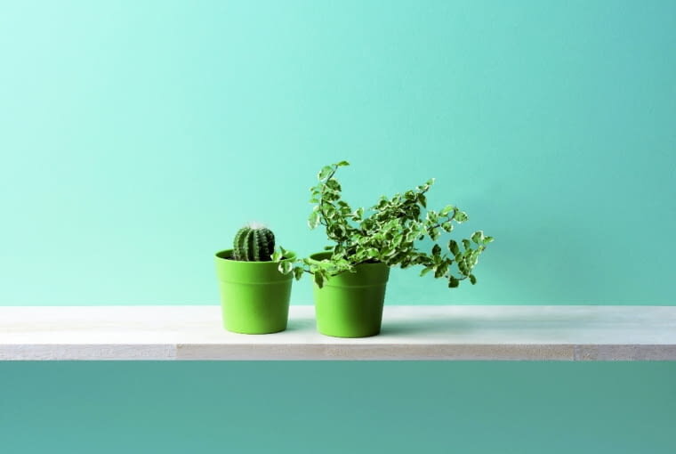 Фото яндекс картиннки