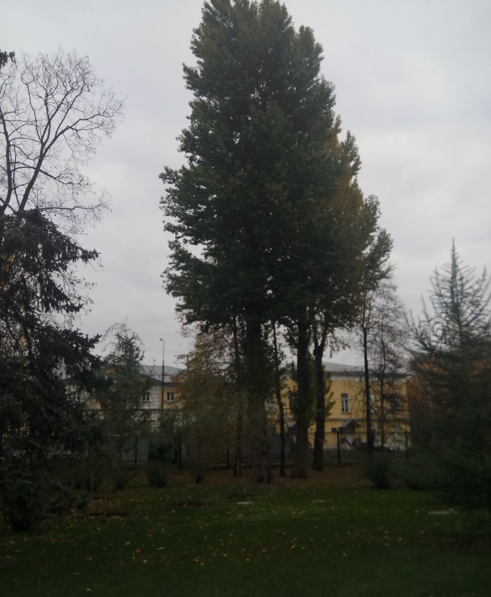 Фото автора. 