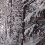 Охотой увлекается довольно много людей. Это отличное времяпрепровождение на свежем воздухе. Такой вид туризма сочетает в себе физическую нагрузку и единение с природой. Ведь для успеха мероприятия нужно прекрасно знать повадки животных. При этом зимней считается охота с октября по конец февраля. Конец сезона зависит от вида зверя и местности.