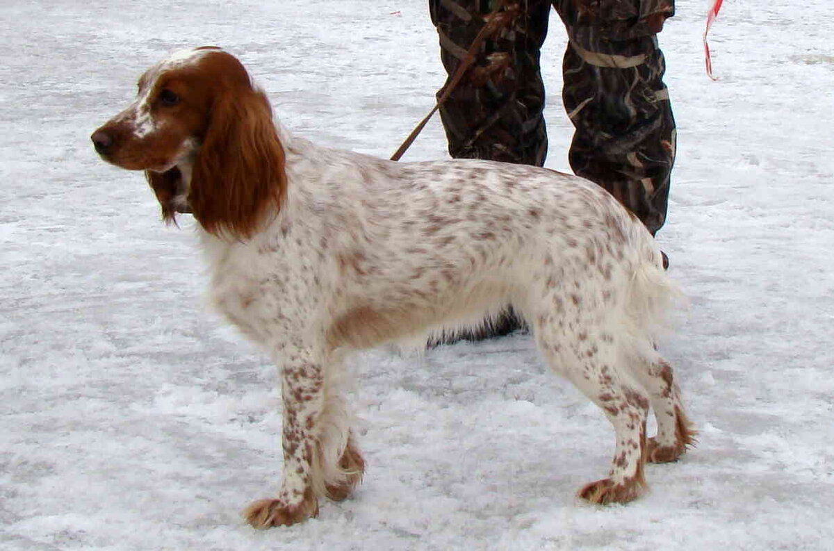 Фото из интернета