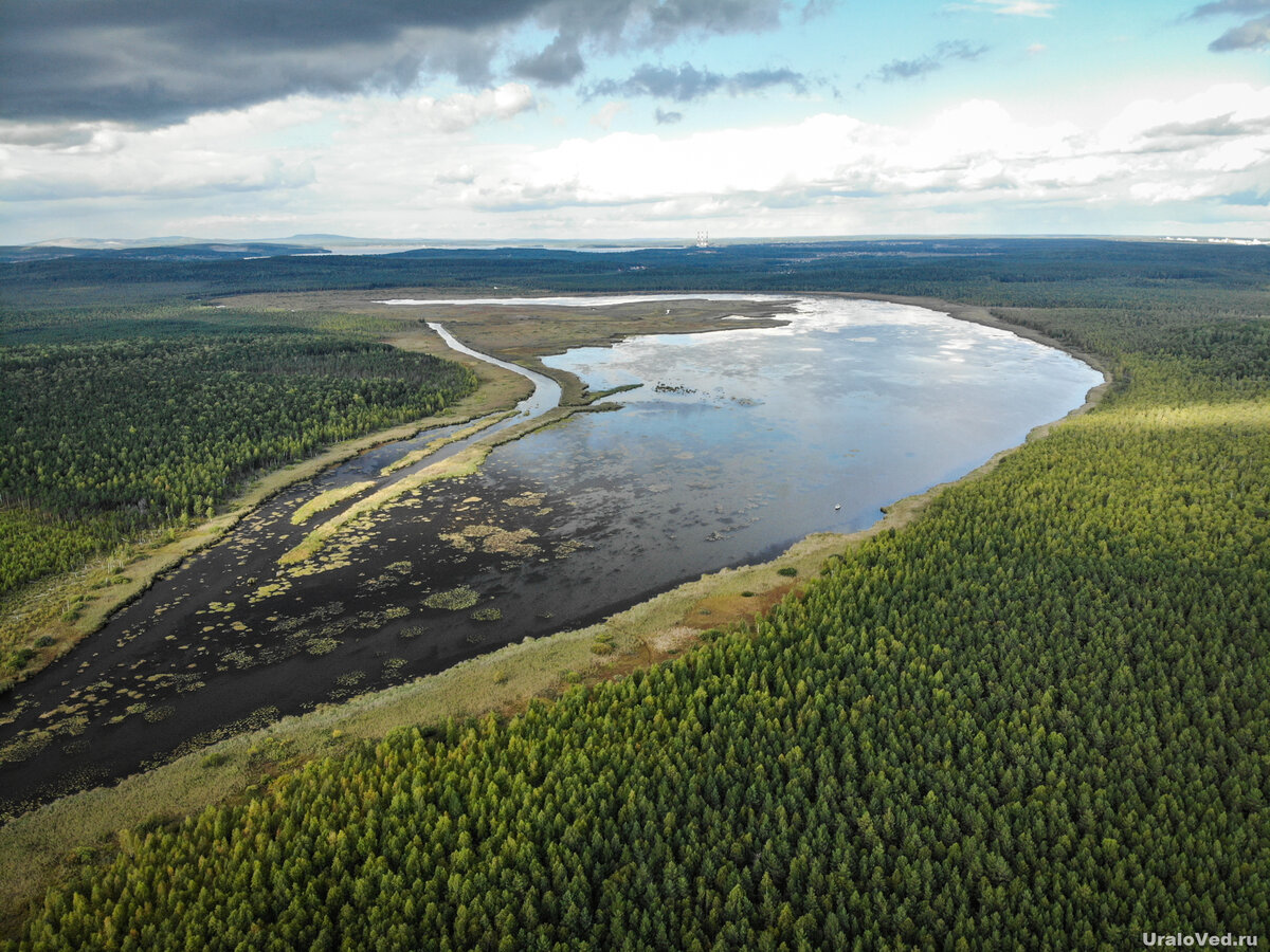 Исчезающие озера россии. Исчезающие озера Вологодской области. Исчезновение озер. Мелководное озеро. Шекснинский район исчезающие озера.